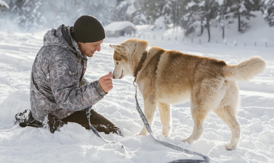 What Animals Live Near Glaciers?