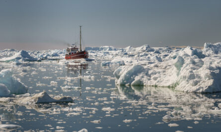 https://www.freepik.com/free-photo/beautiful-view-tourist-boat-sailing-through-icebergs-disko-bay-greenland_17649034.htm#fromView=search&page=1&position=22&uuid=adad3a23-9698-4ee9-b929-63bf1c7800dd&query=The+Best-Case+and+Worst-Case+Scenarios+for+Global+Ice
