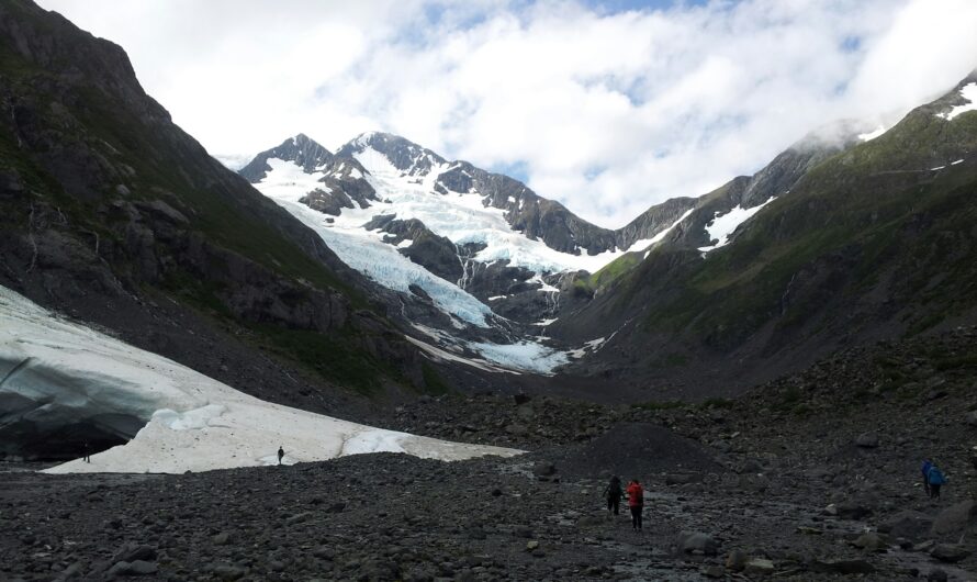 Glacier Hiking vs Glacier Viewing: Which Experience Is Right for You?
