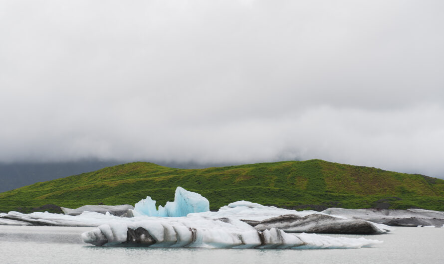 The Biggest Challenges in Glacier Science Today