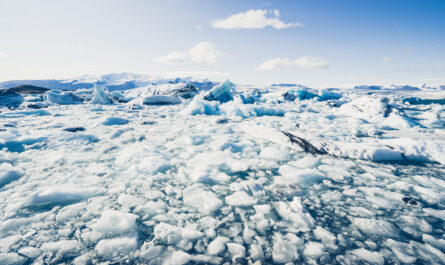 https://www.freepik.com/free-photo/icebergs-floating-jokulsarlon-glacier-lagoon_12909680.htm#fromView=search&page=1&position=38&uuid=772f998d-c779-496e-894d-daf011ee6688&query=How+Politics+and+Economics+Shape+the+Future+of+Glaciers