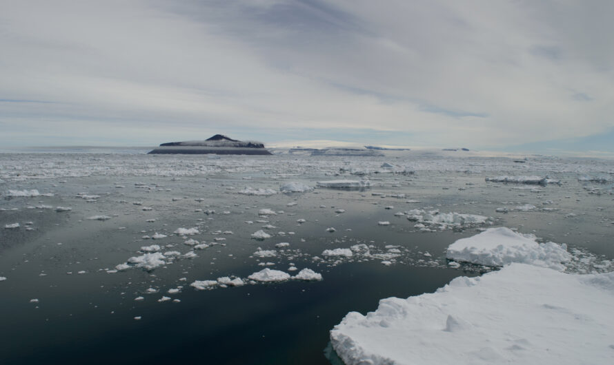 What Is a Tidewater Glacier? Where Ice Meets the Ocean