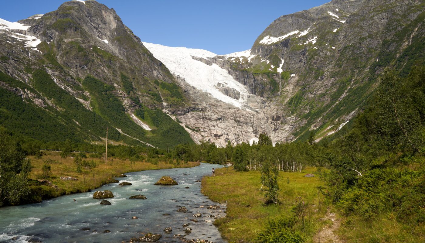 https://www.pexels.com/photo/green-trees-near-lake-and-mountain-9246790/