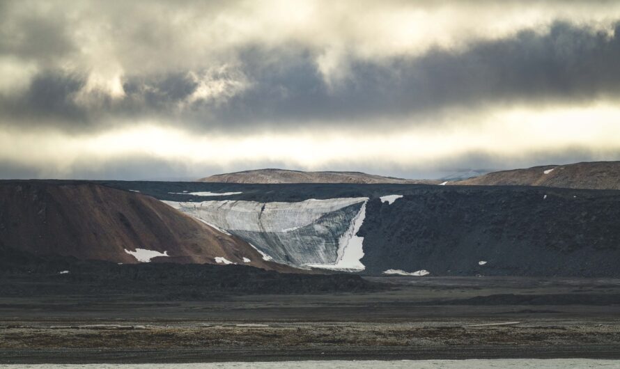 The Last Glaciers: What Happens When Only a Few Remain?