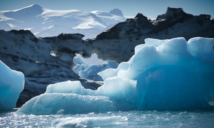 Are New Species Appearing After Glaciers Retreat?