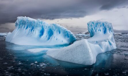 https://www.magnific.com/free-photo/aerial-shot-icebergs-antarctica-cloudy-sky_13292329.htm#fromView=search&page=2&position=13&uuid=88b22e57-ed9f-4e96-bb7b-414362619e64&query=What+Is+an+Ice+Cap%3F+How+It%E2%80%99s+Different+From+an+Ice+Sheet