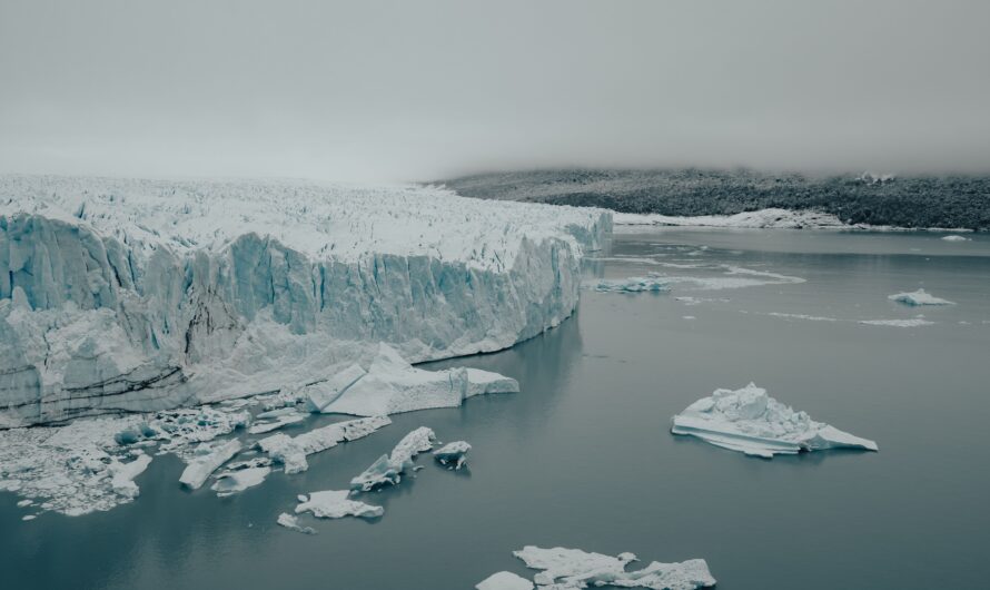 Are All Glaciers Shrinking? Or Are Some Still Growing?