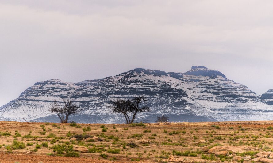 Glaciers of Africa: The Last Ice on Kilimanjaro and Rwenzori