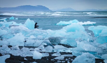 https://www.magnific.com/free-photo/ice-coast-with-photographer_7677941.htm#fromView=search&page=1&position=19&uuid=67b85260-0409-409e-bc2c-82470100878f&track=ais_hybrid&query=The+Role+of+Ocean+Warming+in+Melting+Tidewater+Glaciers