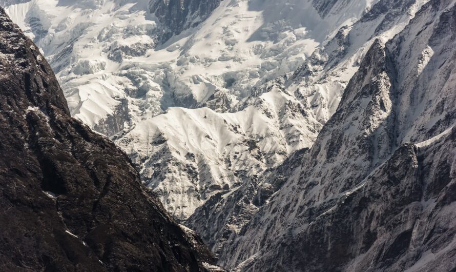 Glaciers of the Karakoram: The Anomaly Region
