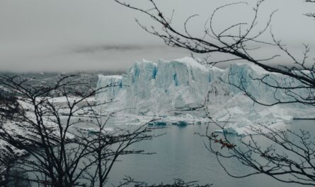 https://www.pexels.com/photo/glacier-near-water-visible-through-trees-25857472/