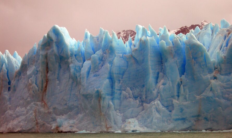 Grey Glacier: Patagonia’s Massive Ice Wall