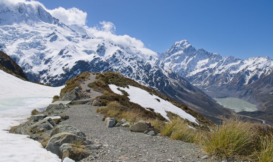 Glaciers of Australia and Oceania: Past and Present